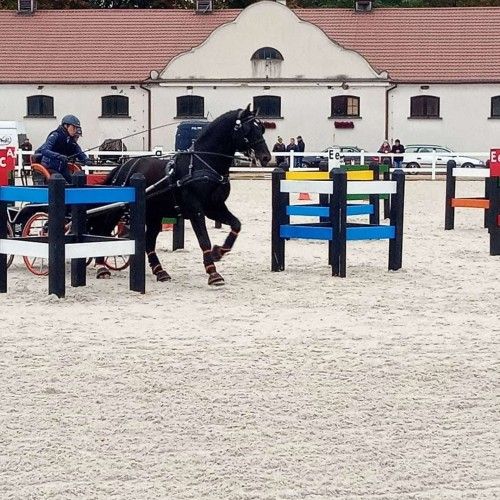 Przeszkody maratonowe na zawodach w Łącku 2021, kadr 13 z 13