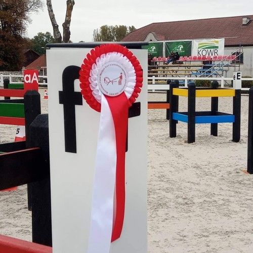Przeszkody maratonowe na zawodach w Łącku 2021, kadr 2 z 13