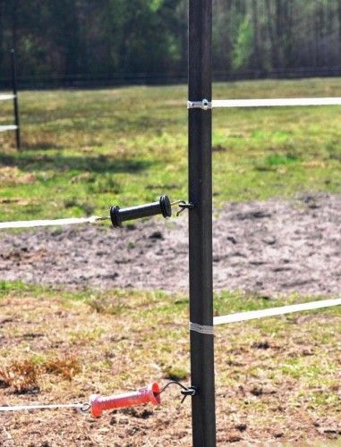 Ogrodzenie pastuch elektryczny, kadr 2 z 3