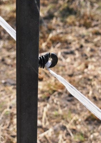 Ogrodzenie pastuch elektryczny, kadr 3 z 3