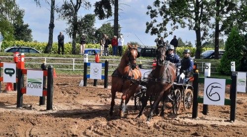 Przeszkody maratonowe Walewice 2022, kadr 6 z 12