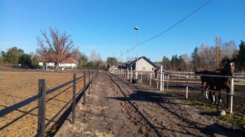 Czworobok, maneż Stajnia Dworek, kadr 10 z 11