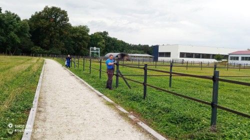 Ogrodzenie stadninina Poplawska Team, kadr 5 z 8