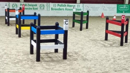 Przeszkody maratonowe EKOFORME zawody halowe w Łącku 2021, kadr 1 z 9