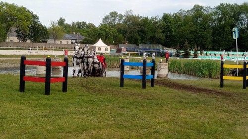 Przeszkody maratonowe, Mistrzostwa w Bogusławicach 2022, kadr 3 z 16