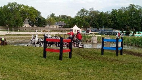 Przeszkody maratonowe, Mistrzostwa w Bogusławicach 2022, kadr 4 z 16