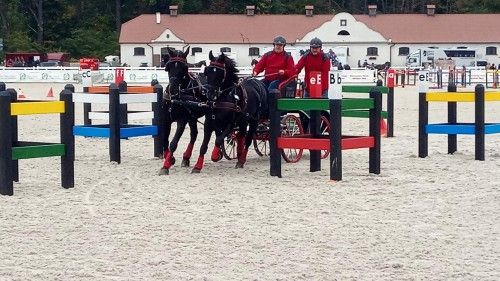 Przeszkody maratonowe na zawodach w Łącku 2021, kadr 10 z 13