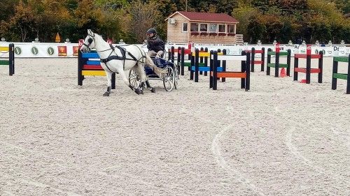 Przeszkody maratonowe na zawodach w Łącku 2021, kadr 8 z 13