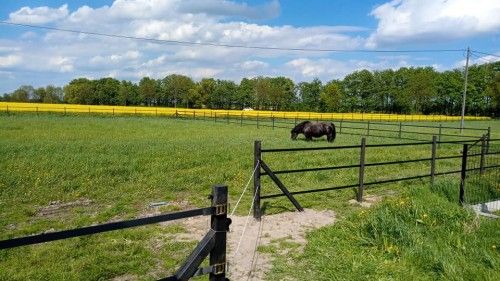 Stajnia Jaskółka ogrodzenie szczelinowe EKOFORME, kadr 1 z 8