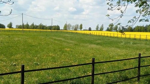 Stajnia Jaskółka ogrodzenie szczelinowe EKOFORME, kadr 4 z 8