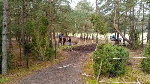 Stajnia Truskawka, kadr 10 z 12