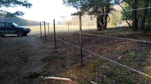 Stajnia Truskawka, kadr 6 z 12