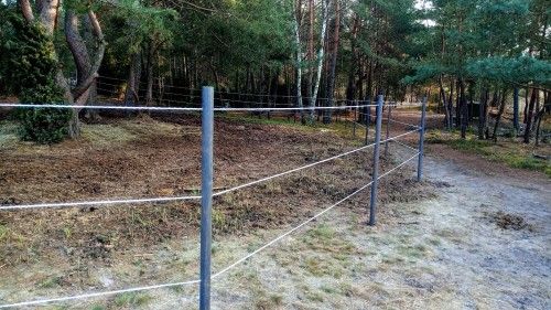 Stajnia Truskawka, kadr 7 z 12