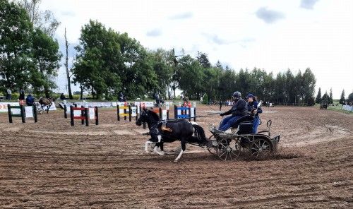 Przeszkody maratonowe Walewice 2022, kadr 3 z 12