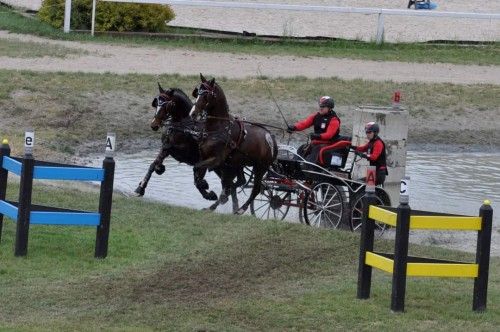 Przeszkody maratonowe, Mistrzostwa w Bogusławicach 2022, kadr 8 z 16