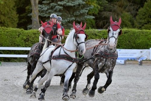 Przeszkody maratonowe BALTIC CUP 2023, kadr 3 z 17