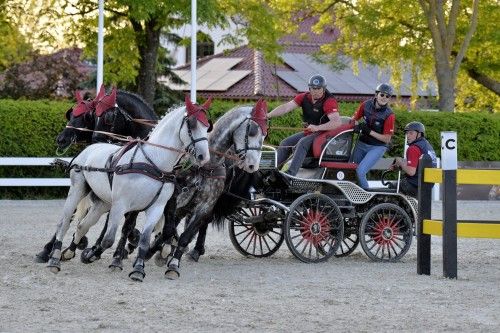 Przeszkody maratonowe BALTIC CUP 2023, kadr 4 z 17