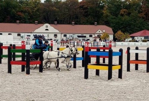 Przeszkody maratonowe na zawodach w Łącku 2021, kadr 1 z 13
