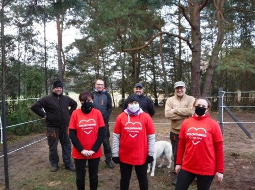 Stajnia Truskawka, kadr 3 z 12