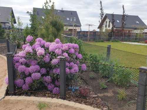 Ogrodzenie farmerskie inne EKOFORME, kadr 5 z 10