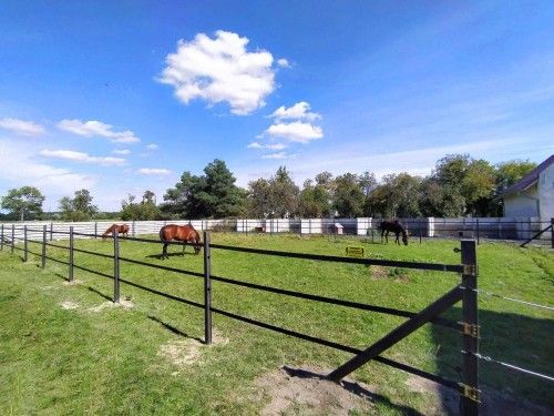 Ogrodzenie stadnina w Łambinowicach, kadr 2 z 4