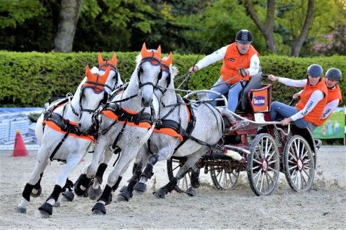 Realizacja EKOFORME: Przeszkody maratonowe BALTIC CUP 2023