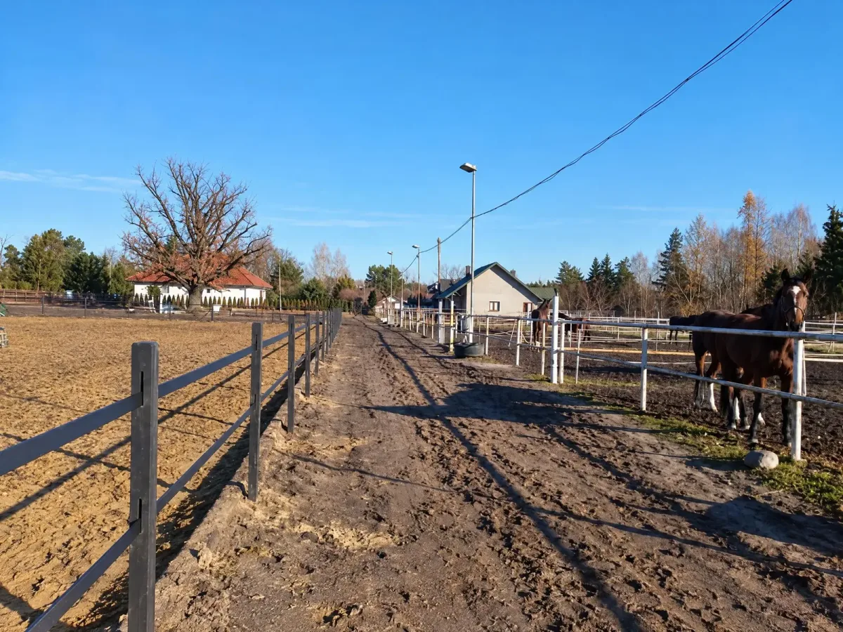 Czworobok, maneż Stajnia Dworek, kadr 8 z 8