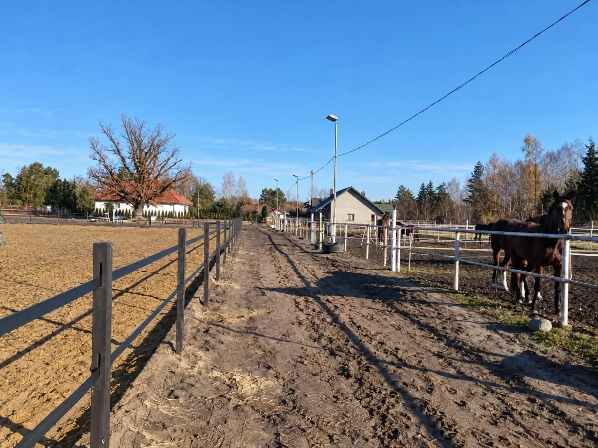 Czworobok, maneż Stajnia Dworek, kadr 6 z 8