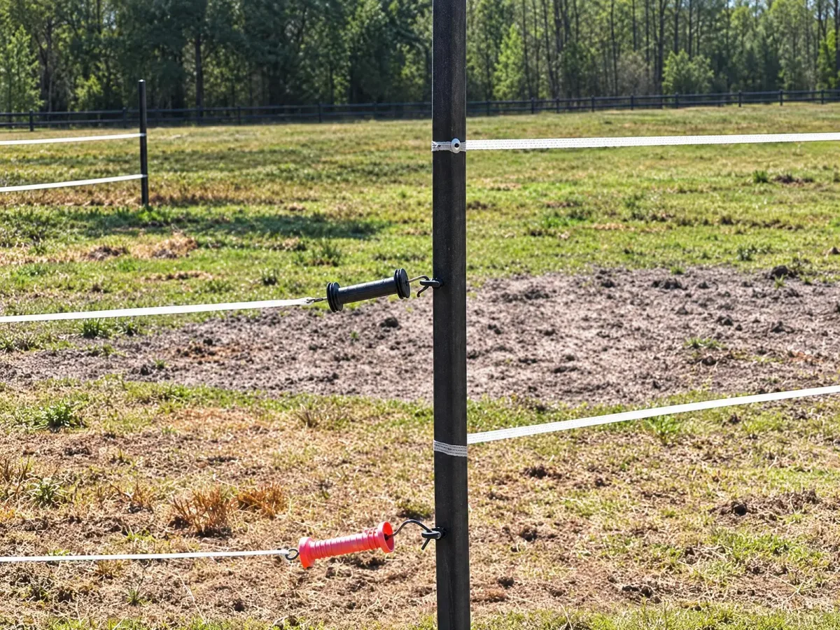 Ogrodzenie pastuch elektryczny, kadr 2 z 3