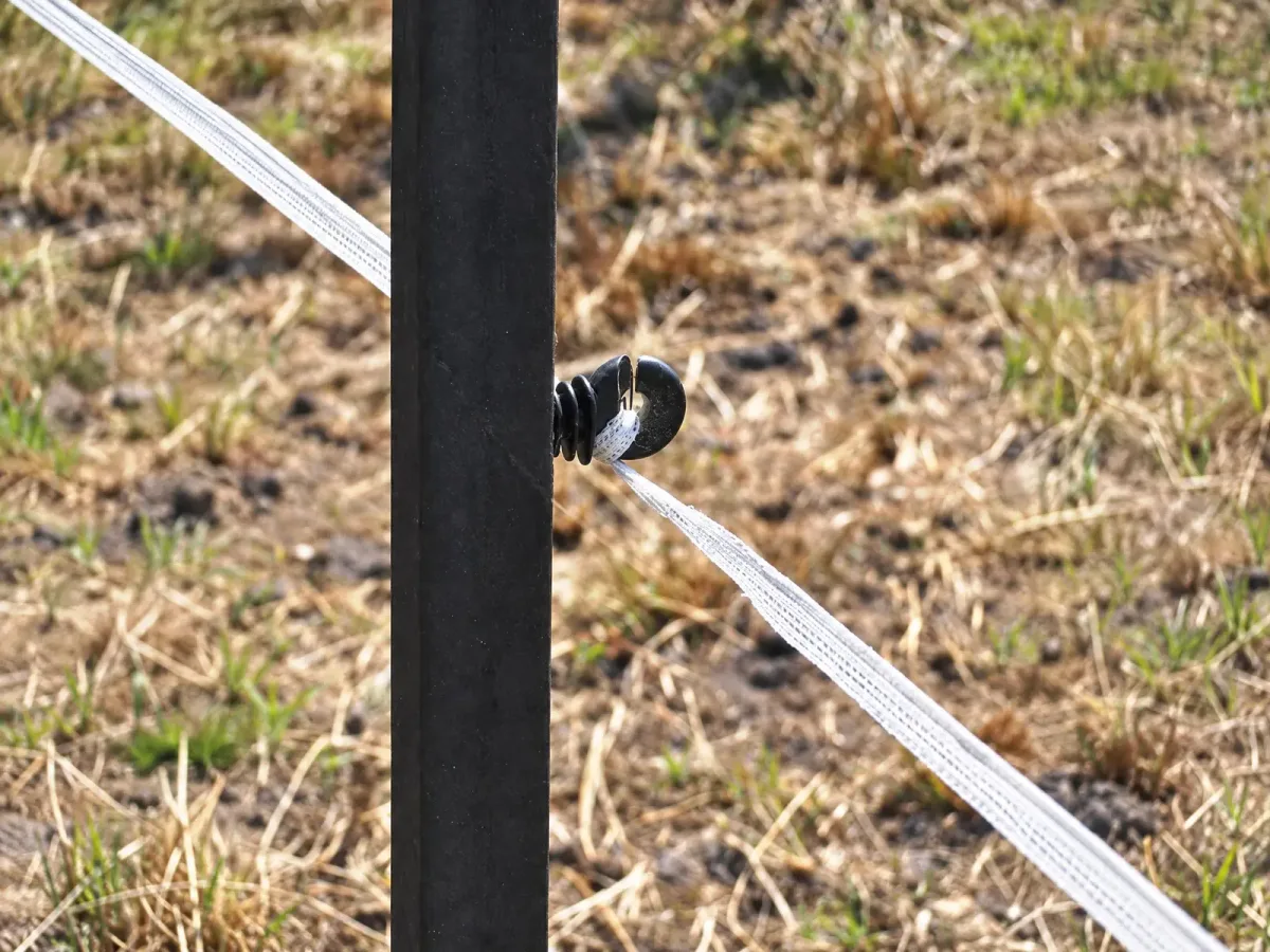 Ogrodzenie pastuch elektryczny, kadr 3 z 3