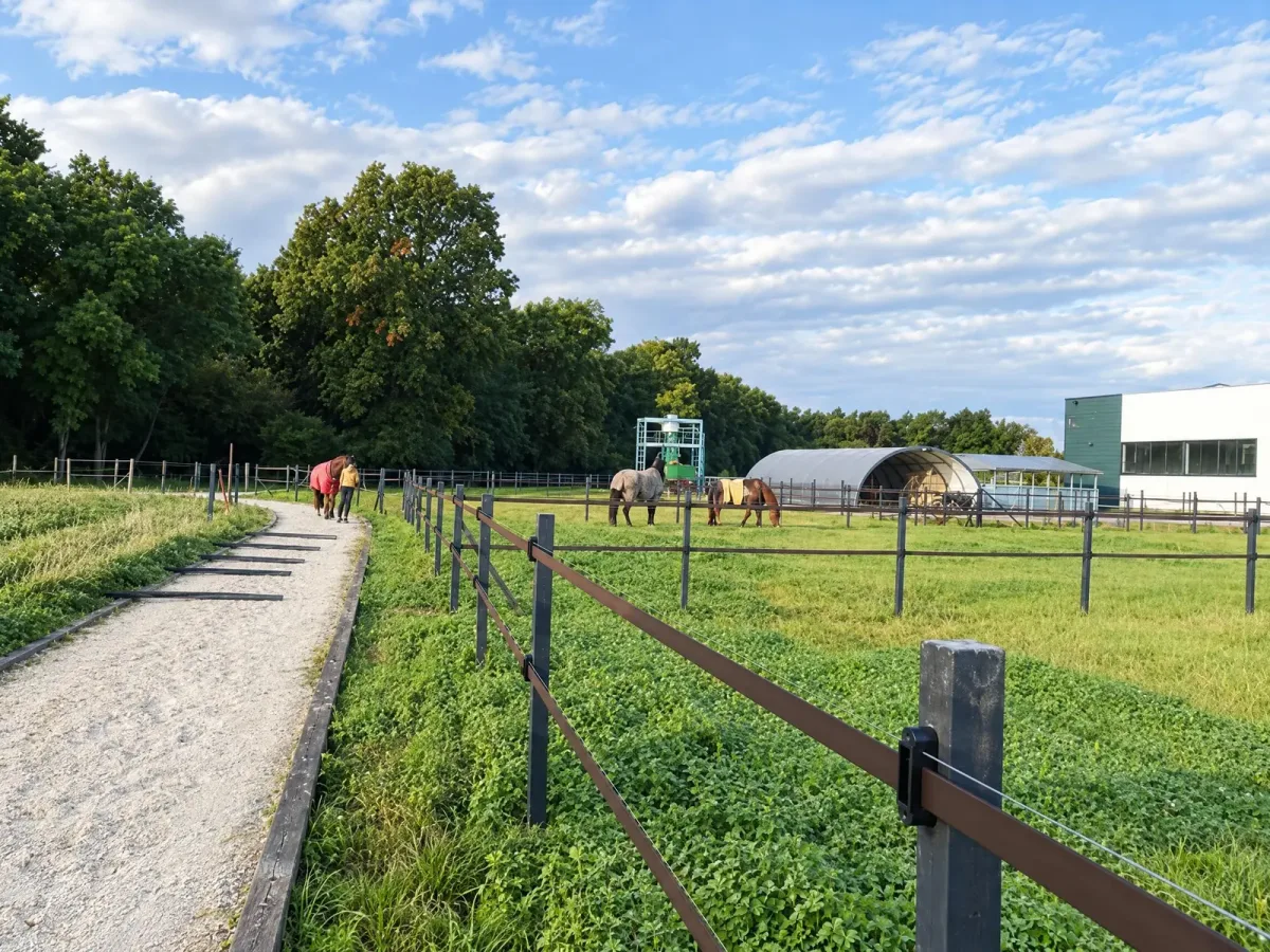 Ogrodzenie stadniny Popławska Team, kadr 3 z 6