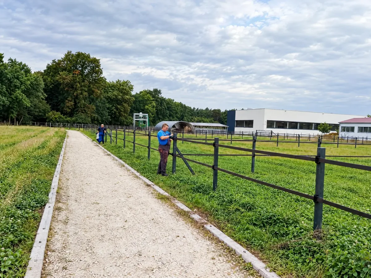 Ogrodzenie stadniny Popławska Team, kadr 5 z 6