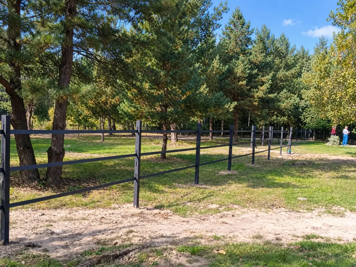 Ogrodzenie szczelinowe, Stanisławów (woj. mazowieckie), kadr 8 z 8