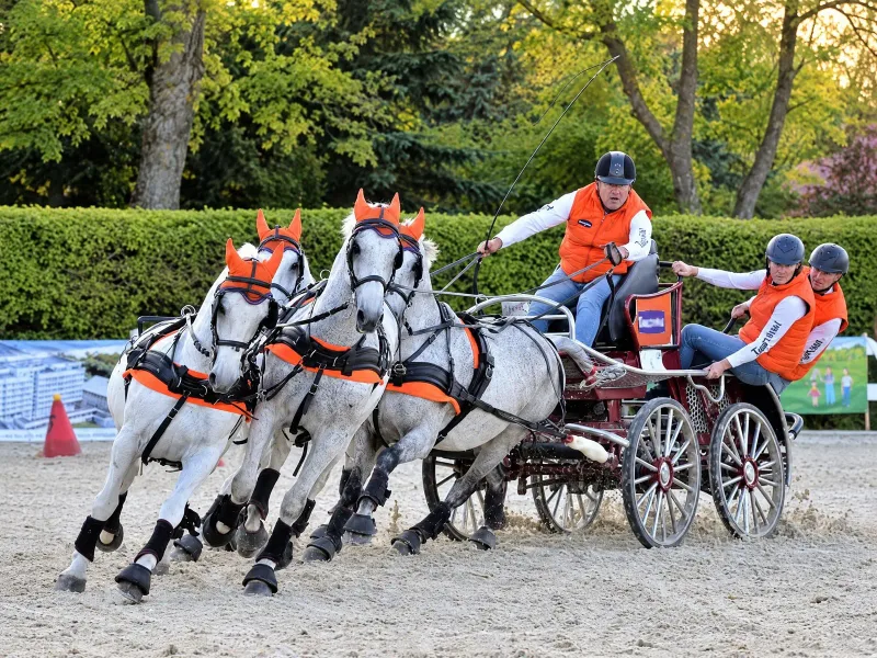 Realizacja EKOFORME: Przeszkody maratonowe, Baltic Cup 2023