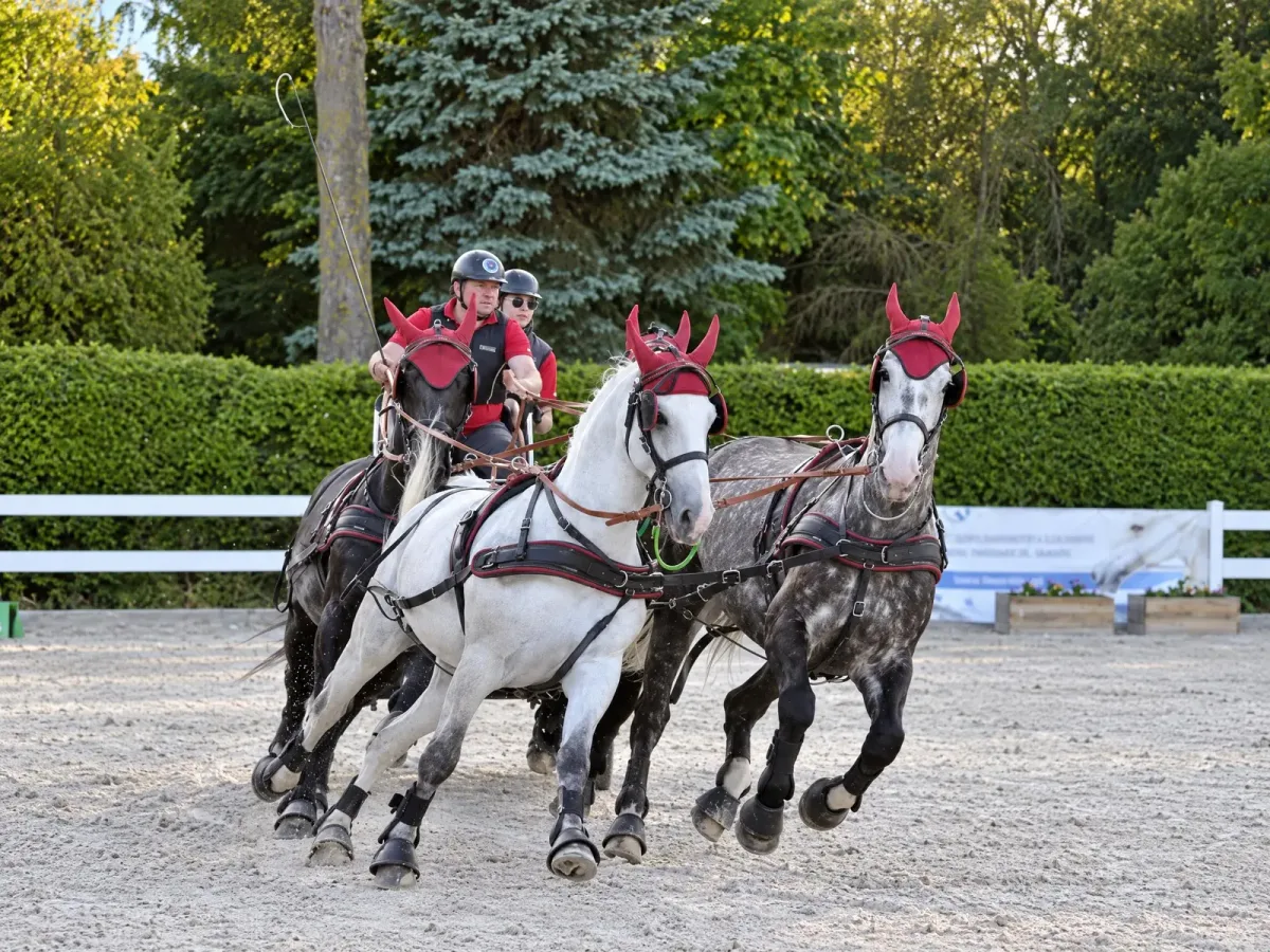 Przeszkody maratonowe, Baltic Cup 2023, kadr 3 z 8