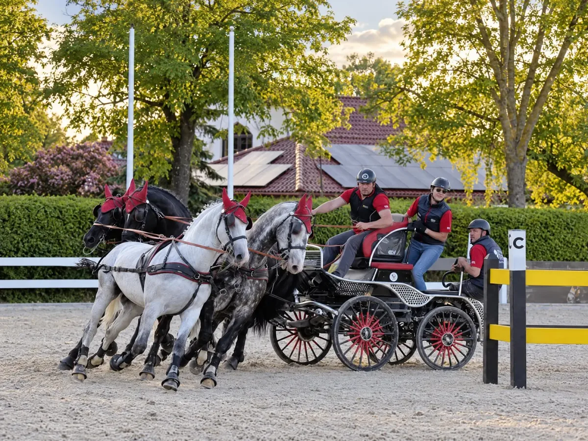 Przeszkody maratonowe, Baltic Cup 2023, kadr 4 z 8