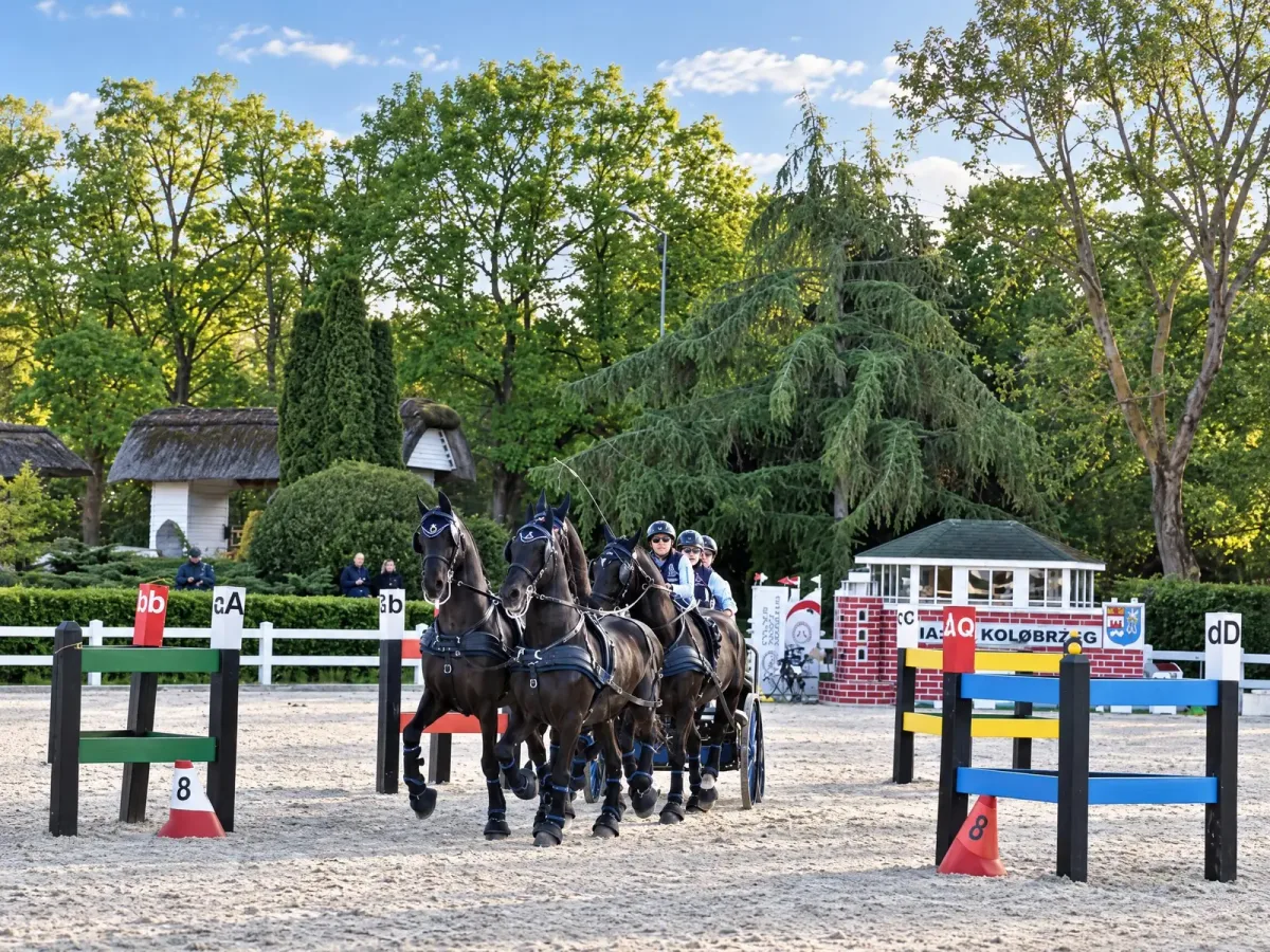 Przeszkody maratonowe, Baltic Cup 2023, kadr 5 z 8