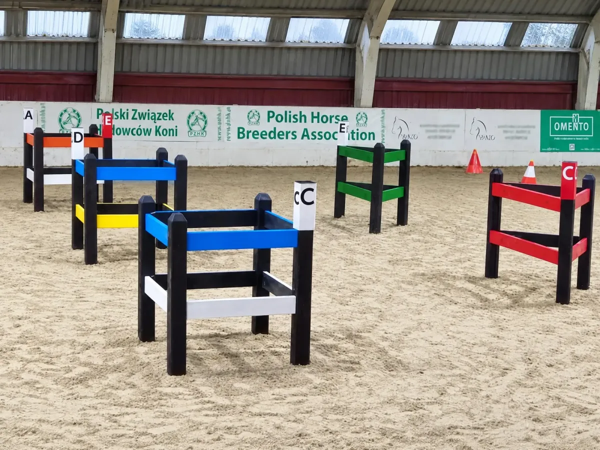 Przeszkody maratonowe EKOFORME zawody halowe w Łącku 2021, kadr 1 z 7