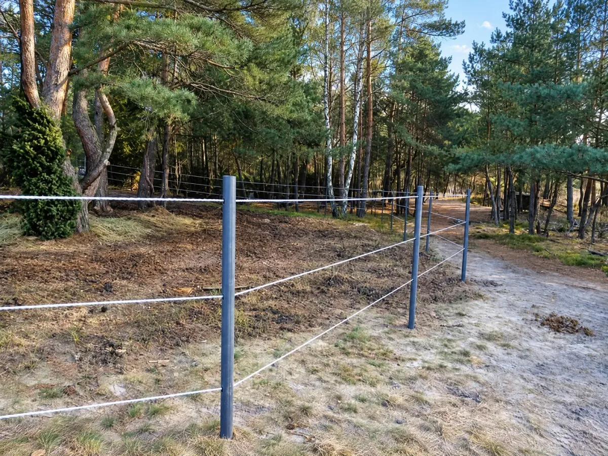 Stajnia Truskawka, kadr 4 z 6